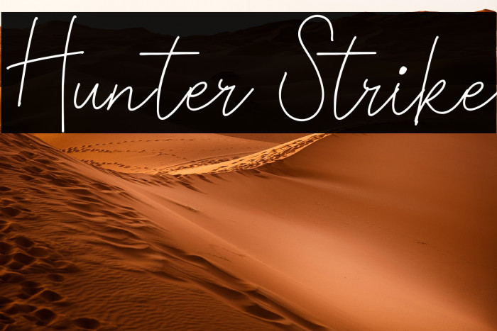 Hunter Strike Example 2