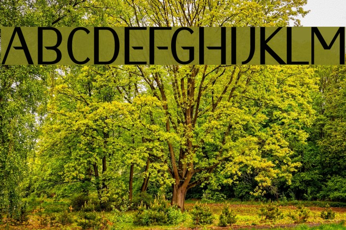 Hunter Font examples