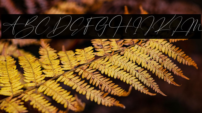 Hunterland Ontime Italic Example 2