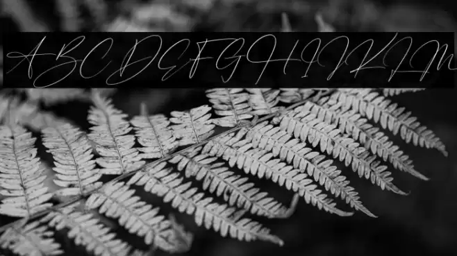 Hunterland Ontime Italic Font examples