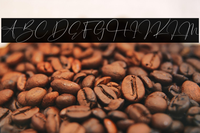 Hunterland Ontime Example 1