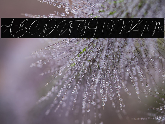 Hunterland Ontime Example 3