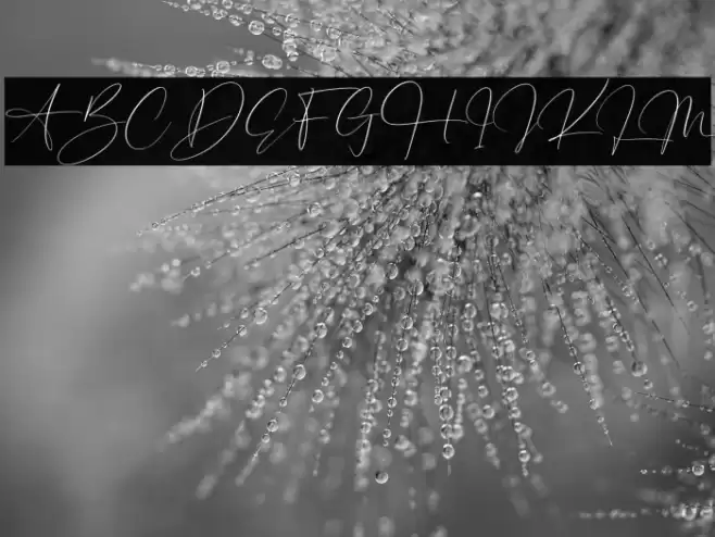 Hunterland Ontime Font examples