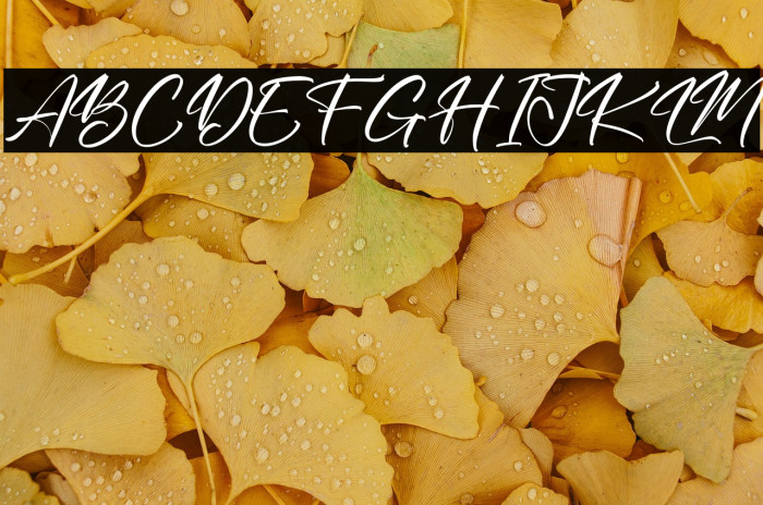 Hunterland Signature Example 2