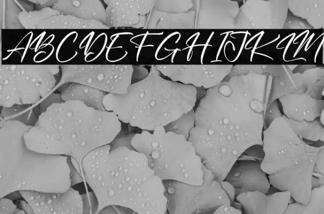 Hunterland Signature Font examples