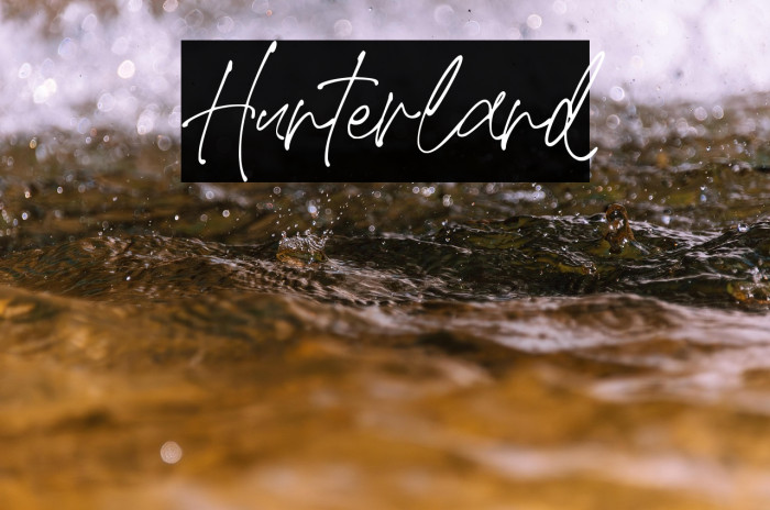 Hunterland Example 2