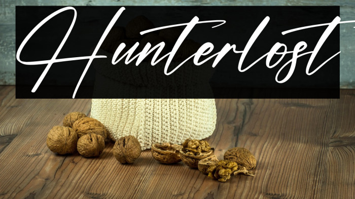 Hunterlost Example 1