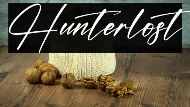 Hunterlost Example 1