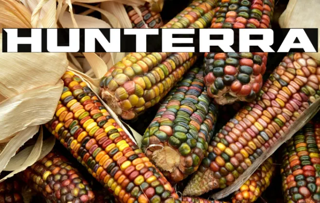 Hunterra Example 3