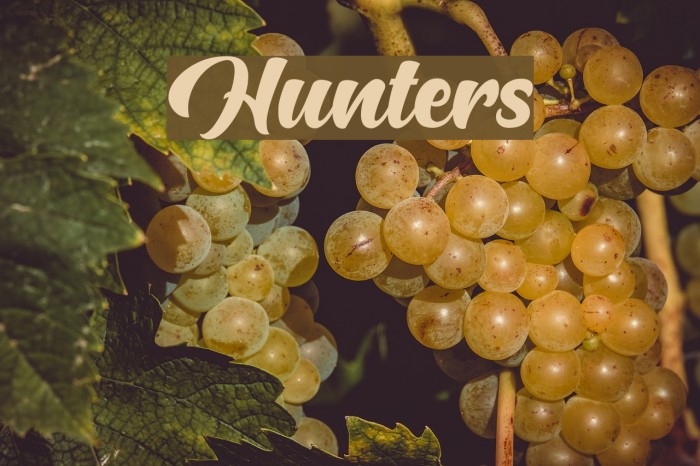 Hunters Font examples