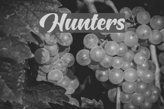 Hunters Font examples