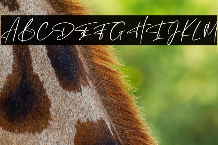 Hunthers Dwayne Example 1