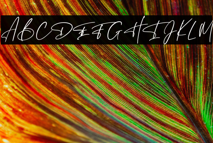 Hunthers Dwayne Example 2