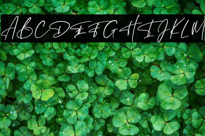 Hunthers Dwayne Example 1