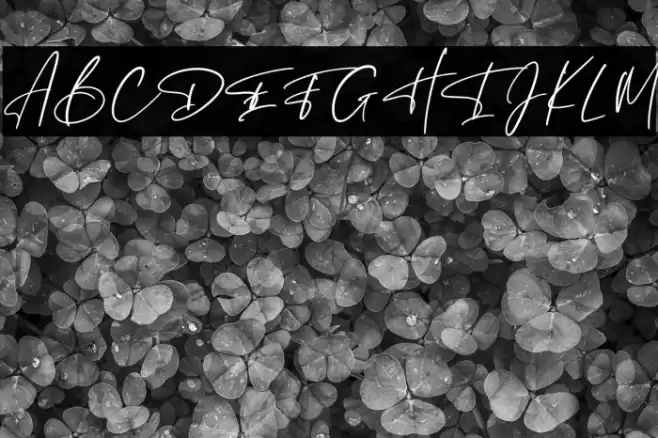 Hunthers Dwayne Font examples