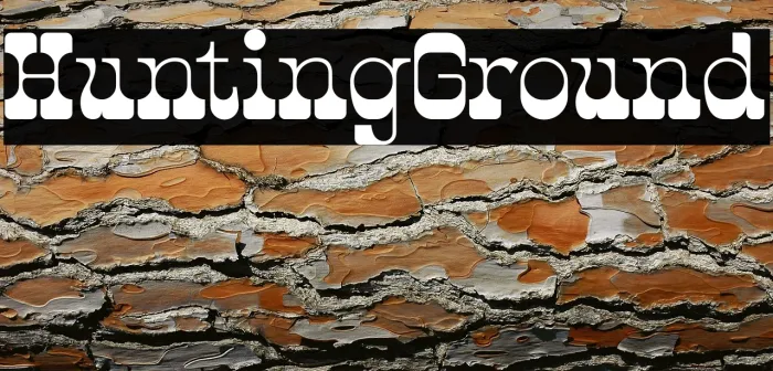 Hunting Ground Example 1
