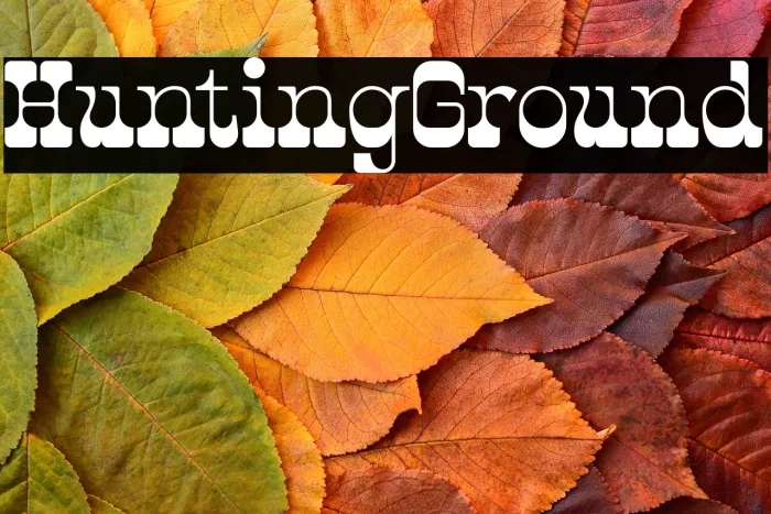 Hunting Ground Example 2