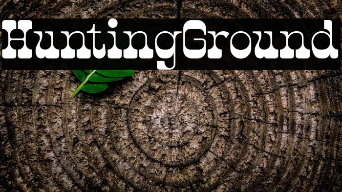 Hunting Ground Example 3