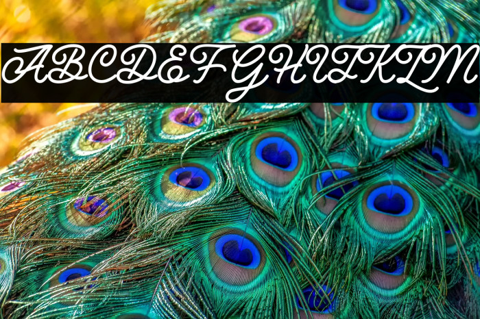 Hunting Script Example 3