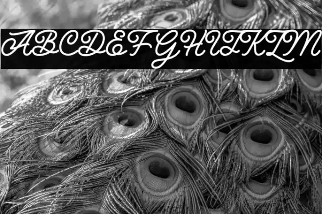 Hunting Script Font examples