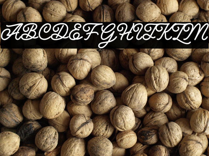 Hunting Script Example 1