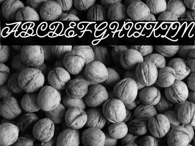 Hunting Script Font examples