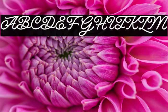 Hunting Script Example 2