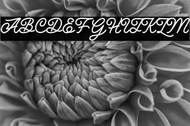 Hunting Script Font examples