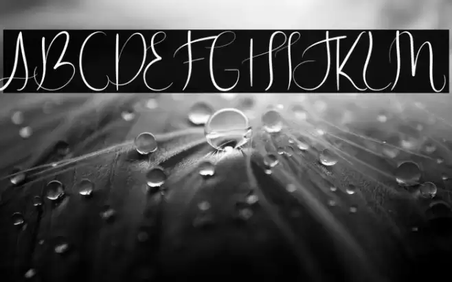 Hunting Star Font examples