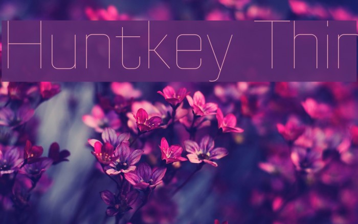 Huntkey Thin Font examples
