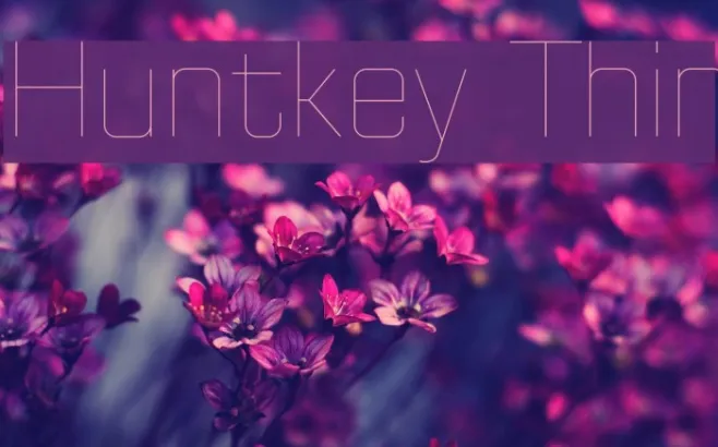 Huntkey Thin Example 1