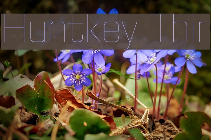 Huntkey Thin Font examples