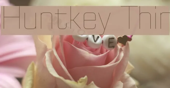 Huntkey Thin Example 3