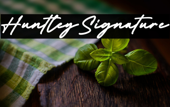 Huntley Signature Example 1