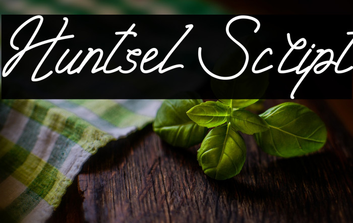 Huntsel Script Example 1