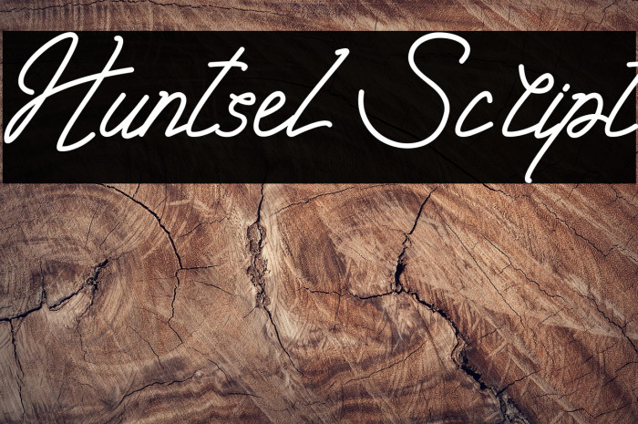 Huntsel Script Example 2