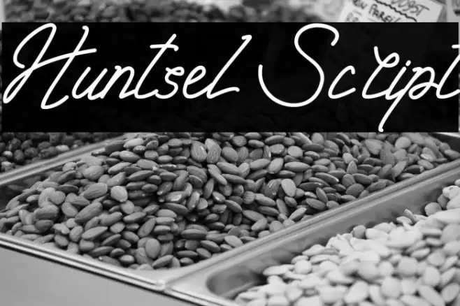 Huntsel Script Font examples