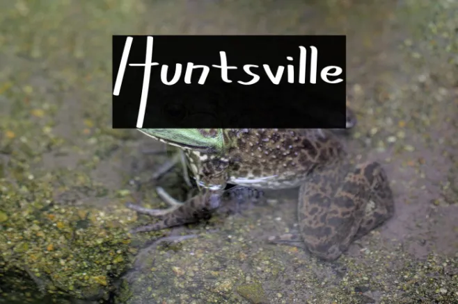 Huntsville Example 2