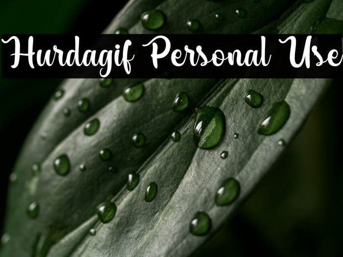 Hurdagif Personal Use Example 3