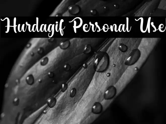 Hurdagif Personal Use Font examples