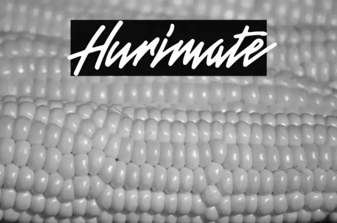 Hurimate Шрифта examples