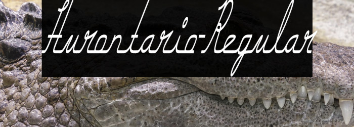 Hurontario-Regular Example 1