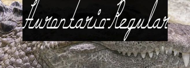 Hurontario-Regular Example 1