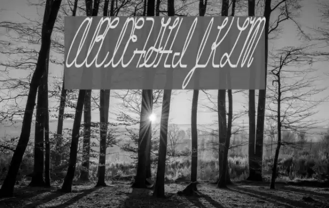 Hurontario Font examples