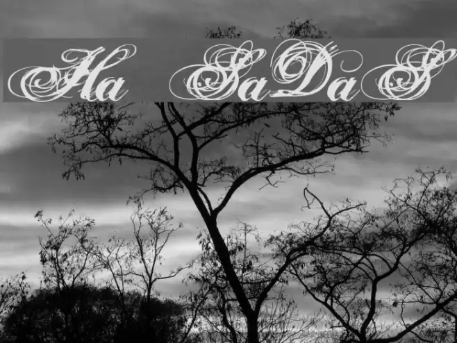 Hurricane  SupaDupaSerif Font examples