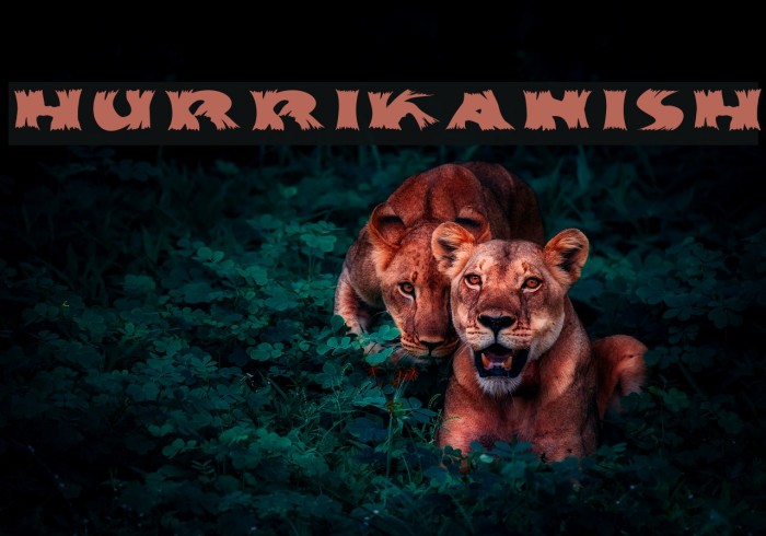 Hurrikanish Font examples