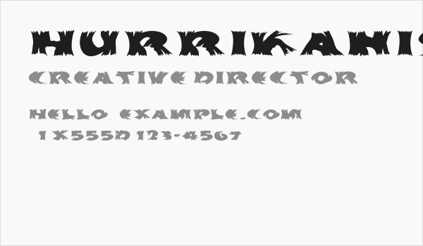 Hurrikanish Business Card
