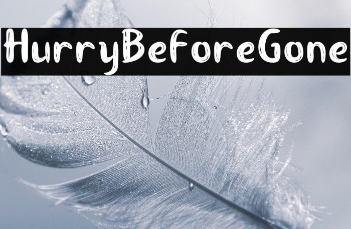 HurryBeforeGone Example 1