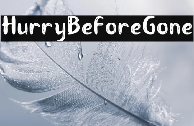 HurryBeforeGone Example 1