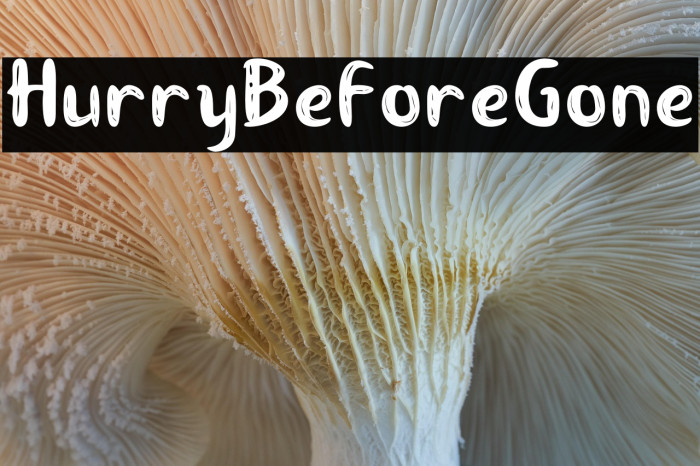 HurryBeforeGone Example 3